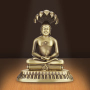 Parashvanath Swami (Digambara)